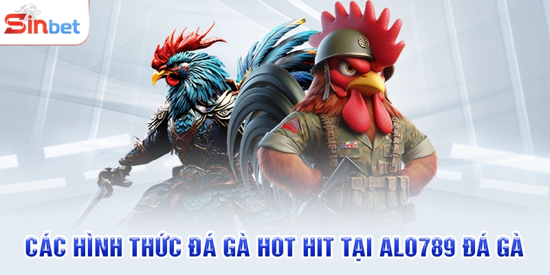 Các hình thức đá gà hot hit tại Alo789 đá gà