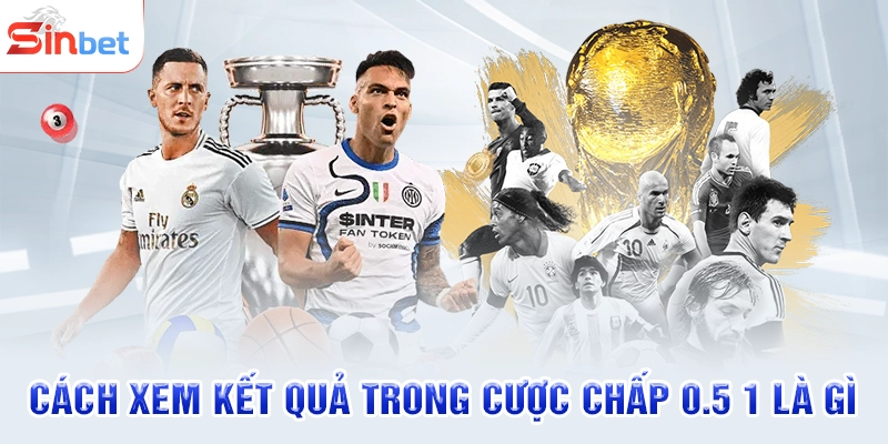 Cách xem kết quả trong cược chấp 0.5 1 là gì