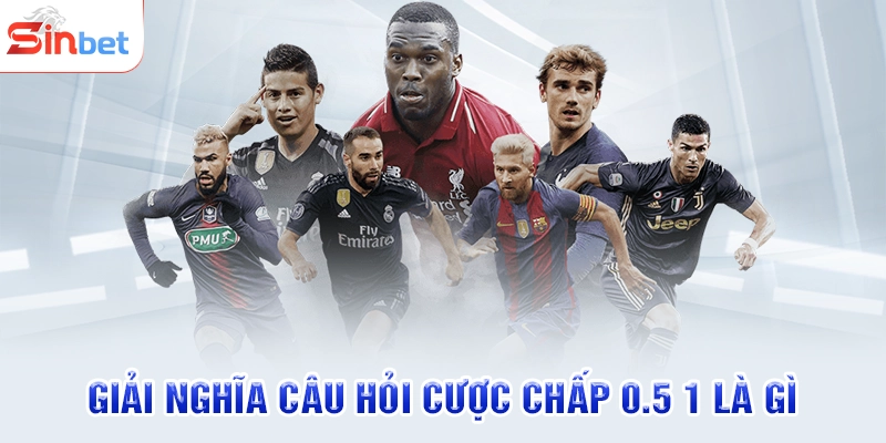 Giải nghĩa câu hỏi cược chấp 0.5 1 là gì