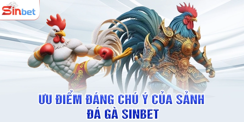 Ưu điểm đáng chú ý của sảnh đá gà SINBET